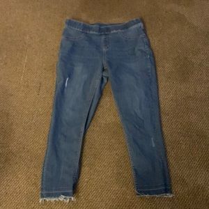 Womens Terra & Sky 0x (14w) jeggings